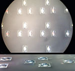 Figure 13. Close-up view of potted LEDs.